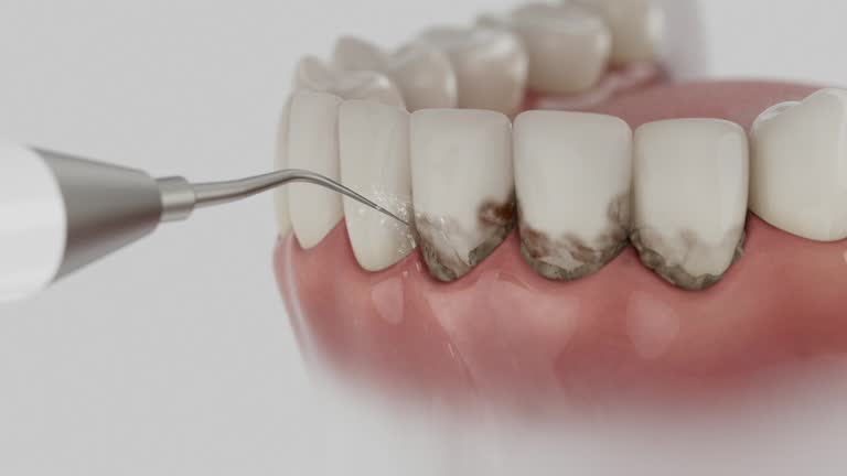 Reliable Dental contractor in Leesburg, GA by Dentist Open Now
